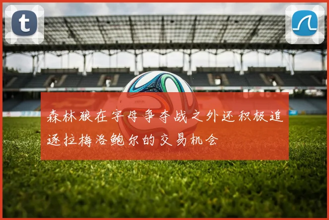 森林狼在字母争夺战之外还积极追逐拉梅洛鲍尔的交易机会